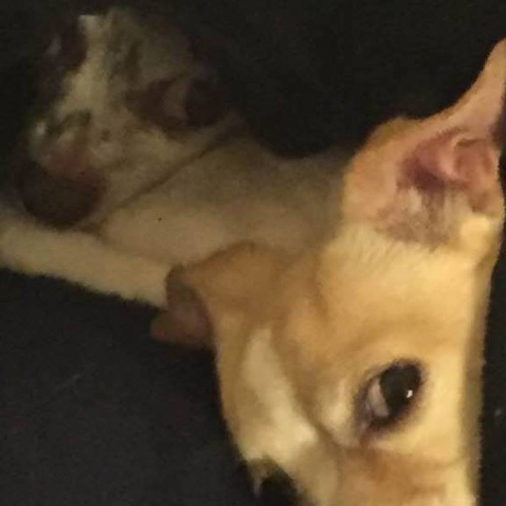 Meet your Posher, Juliane